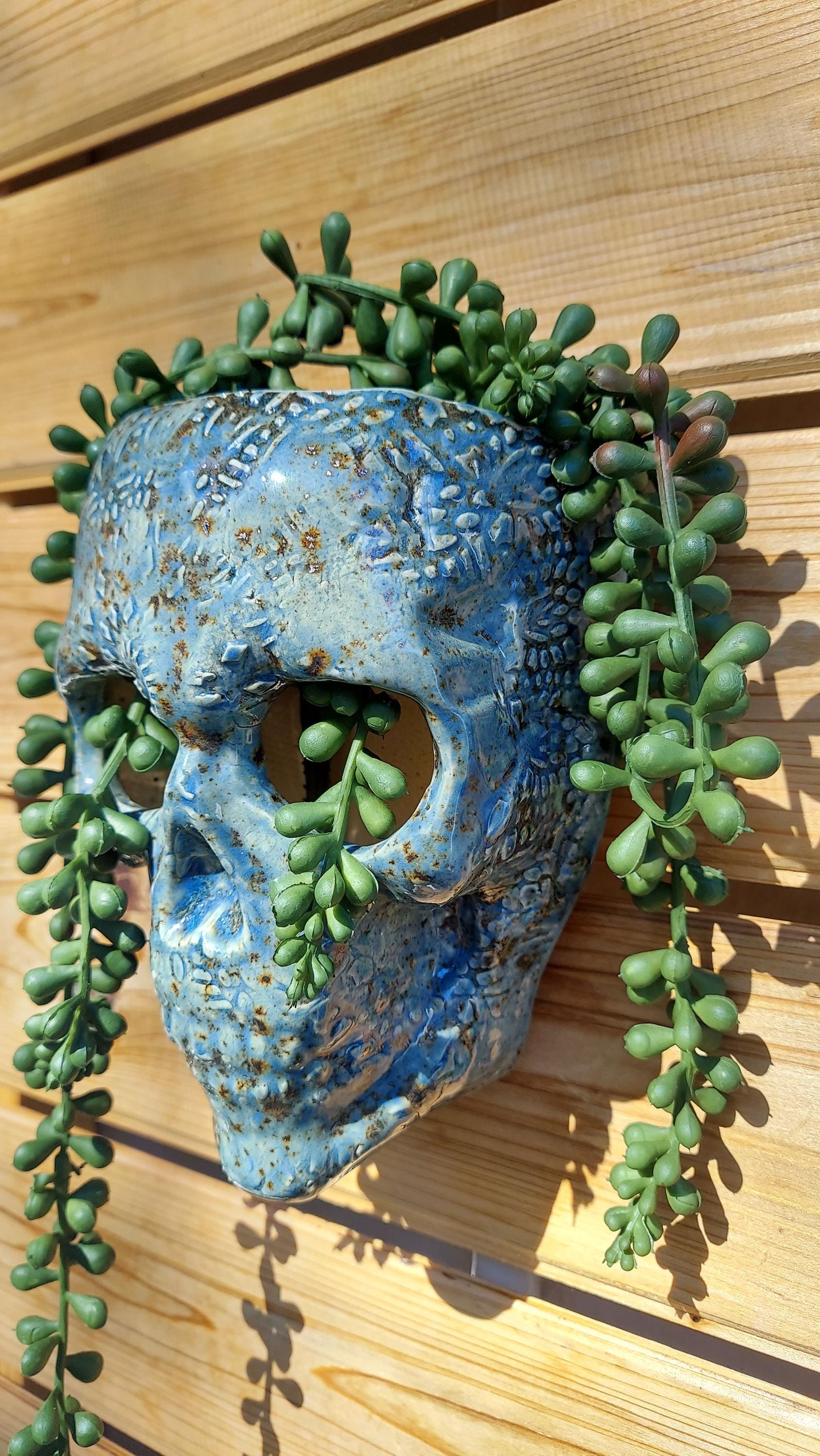Handmade Ceramic Skull Wall Planter, One-of-a-Kind Pottery